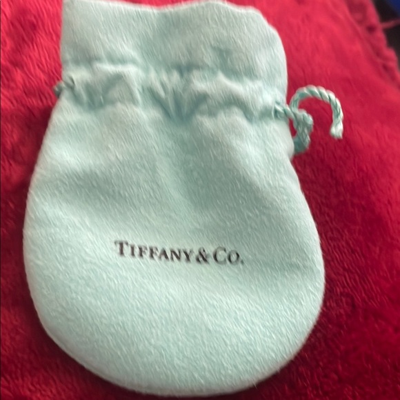 Tiffany & Co.  Chain Necklace with 2 Hearts Pendant - Picture 5 of 9